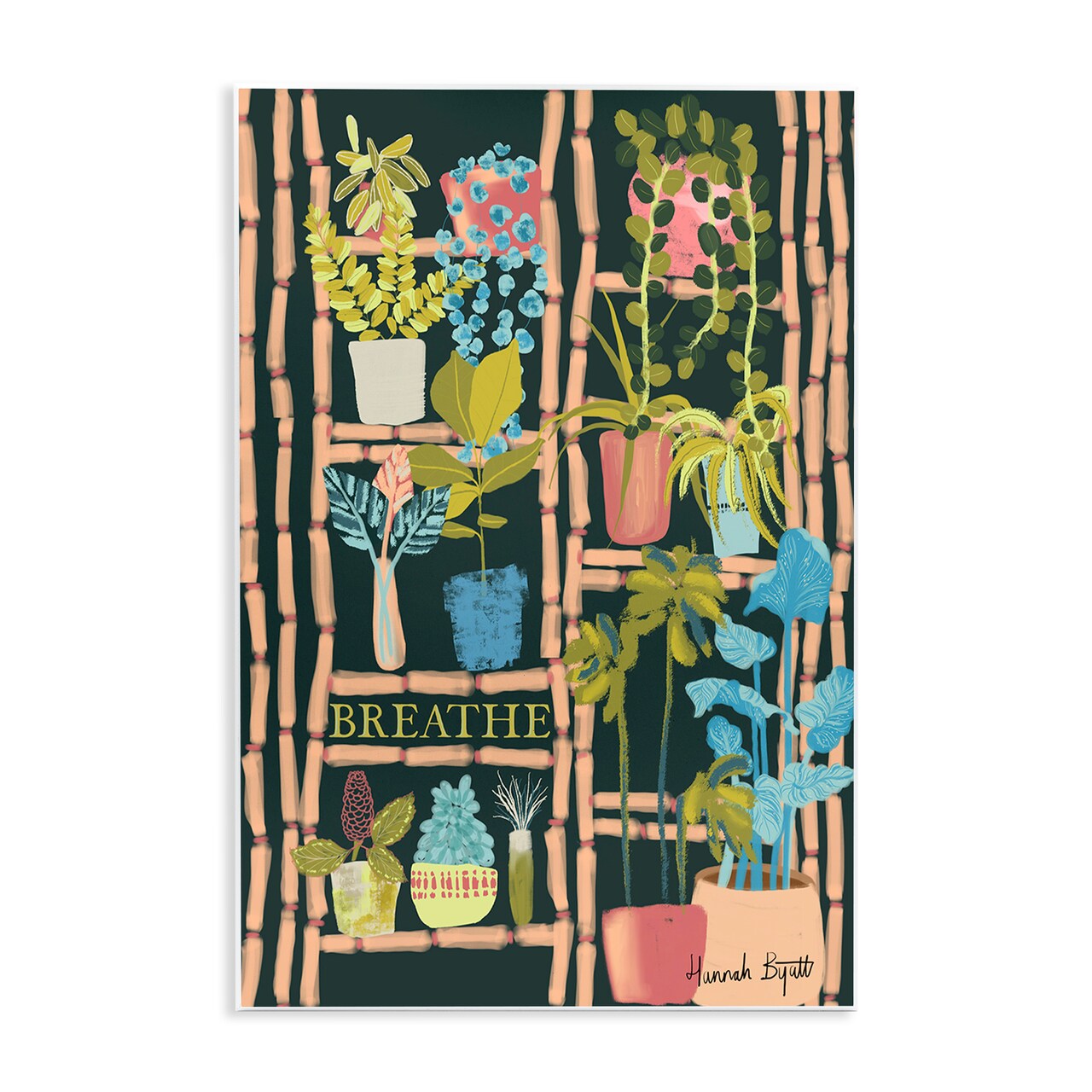 Stupell Industries Plant Shelf on Black Wall Plaque Art Design by Hannah Byatt